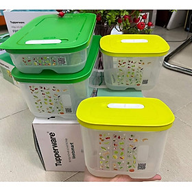 Mua BỘ TRỮ MÁT CÓ NÚT HÔ HẤP VENTSMART SET 4