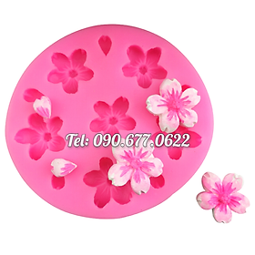 Mua Khuôn silicone làm rau câu 6 hoa mai  hoa đào - Mã số 1277