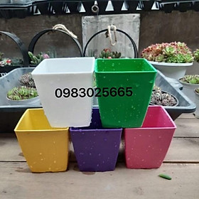 Chậu nhựa vuông nhiều màu kích thước 16x16cm