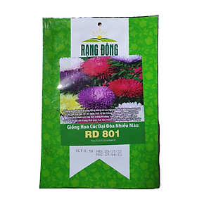 Mua Hạt giống hoa cúc đại đóa nhiều màu Rạng Đông RD 801