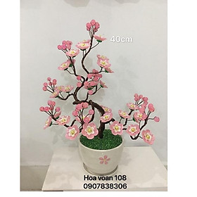 Mua Chậu hoa bonsai - cây kiểng