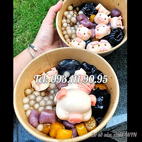 Bộ 2 khuôn silicon làm rau câu, socola, kẹo dẻo, làm kem: heo con tắm tiên siêu Cute và 16 mặt heo – Mã số Q 1251