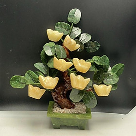 Mua Cây Tài Lộc - Cây Kim Tiền Thỏi vàng Đá Ngọc Hoàng Long - Cao 25cm