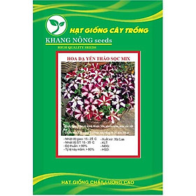 Hạt giống hoa dạ yến thảo sọc mix màu KNS3564 - Gói 50 hạt