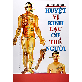 Huyệt Vị Kinh Lạc Cơ Thể Người (ML)