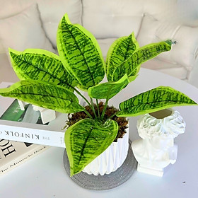 Mua Chậu cây giả để bàn - Cây giả  hoa lụa Decor trang trí nhà cửa  quán cafe