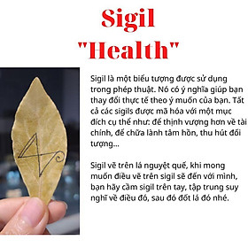 Đĩa vỏ ốc xà cừ size đại 14-16cm - Dụng cụ đốt xô thơm - Palo santo - Nhựa cây đúng truyền thống