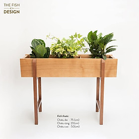 Mua Hộp Kệ Gỗ Dài Trồng Cây XL | Gỗ Sồi | Kích Thước D75 x R20 x C55