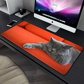 Mua Lót chuột méo mẹo mèo cỡ lớn 80x30 90x40 - Bàn di chuột sen boss mèo