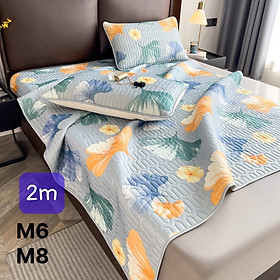 Mua chiếu điều hòa trải giường latex 2D mẫu mới nhất 2023 tặng kèm 2 vỏ gối cùng mẫu