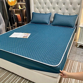Mua Tấm bảo vệ đệm cao su non bo chun dùng 4 mùa tặng thêm 2 vỏ gối   đủ kích thước