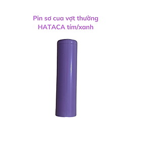 Mua Vợt muỗi HATACA CON DƠI PIN LITHIUM 1200MAH THAY THẾ ĐƯỢC