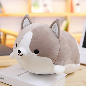 Thú nhồi bông hình chó Corgi đáng yêu TNB234 - Màu ngẫu nhiên