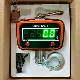 Mua Cân Treo Điện Tử 1 Tấn OCS-RLG
