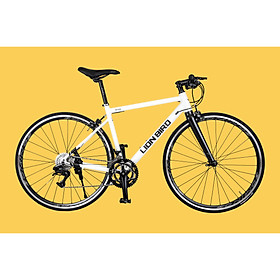 xe đạp thể thao lionbird peloton