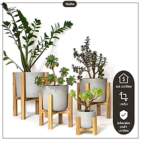 Mua Chân Gỗ Đặt Chậu cây - Kệ Gỗ Để Chậu Hoa CCG01
