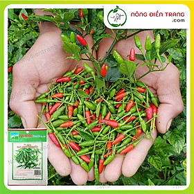 Hạt giống ớt Xiêm (Ớt Hiểm xanh Ớt Chim) Phú Nông - Gói 0.1g - Dễ trồng sai trái sinh trưởng mạnh kháng bệnh tốt VTNN Nông Điền Trang