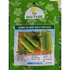 Mua Hạt giống Bí Đao Chanh  Bí Ngồi Xanh F1 10 hạt