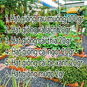 Combo Hạt Giống Rau 6 Loại: Hạt Giống Rau Muống 100gr, Hạt Giống Cải Ngọt 20gr, Hạt Giống Cải Xanh 20gr, Hạt Giống Xà Lách 20gr, Hạt Giống Cải Thìa 20gr, Hạt Giống Mướp 2gr