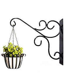 Mua Con Sơn - Móc treo chậu cây