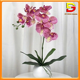 Mua Hoa Giả Chậu Hoa Lan Hồ Điệp Gốm Sứ Cao Cấp Decor Trang Trí Nhà Cửa Nhà Hàng Văn Phòng DG-225