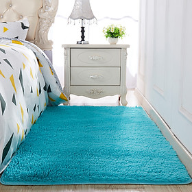 Thảm trải sàn phòng ngủ lông xù 160x100cm