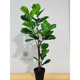 Cây bàng singapo giả cao 120cm