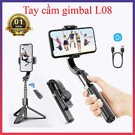 Gậy chụp ảnh tay cầm chống rung Gimbal chắc chắn - D1009