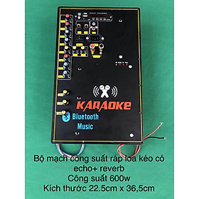 Bộ mạch công suất đơn 600w có echo, reverb ( reverb 3 volume)