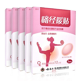 Miếng Dán Giảm Đau Kì Kinh Nguyệt Yunnanbaiyao Taibang (15 Miếng/5 Hộp)