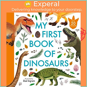 Sách - My First Book of Dinosaurs by Zoe Ingram (UK edition, hardcover)