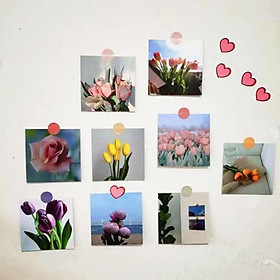 SET 9 TẤM CARD HOA LÁ MỘNG MƠ