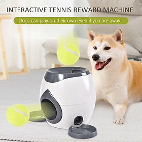 Đồ chơi tự động ném bóng tennis tương tác cho chó, đồ chơi giải trí cho thú cưng