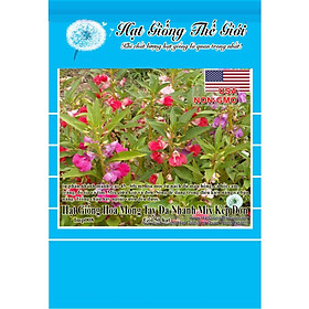 50h Hạt Giống Hoa Móng Tay Đa Nhánh - Mix Kép Đơn (Impatiens Balsamina)