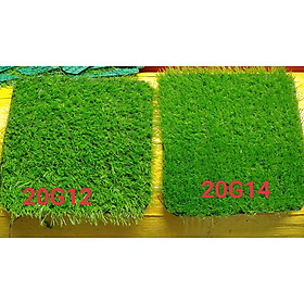Mua Thảm cỏ nhân tạo đế tốt chịu nước  xài ngoài trời  cao 2-2.5cm  cỏ sân vườn  lót sàn  ốp tường  màu xanh tươi  xanh sẫm