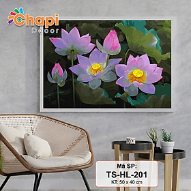 Mua Tranh tô màu số hóa Chapi Hoa Sen Hồng Mã TSHL 201 Size 40x50cm đã căng khung