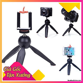 Mua Tripod Mini 3 Chân Chụp Hình Đa Năng Xh-228 FREESHIP  TP S