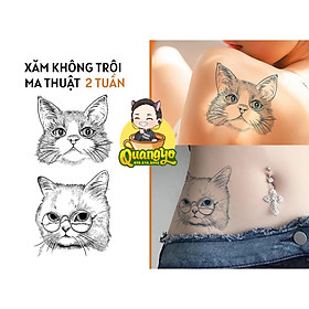 199 mẫu hình xăm mèo thần tài may mắn cực chất  Xăm truyền thống Hình xăm  mèo Hình xăm ngầu