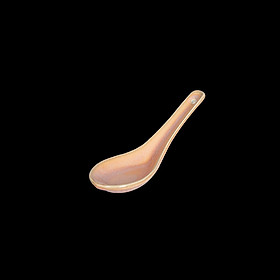 Muỗng Gốm 14cm - LOVERAMICS (SPOON) - Bộ Sưu Tập ER-GO!ROSE