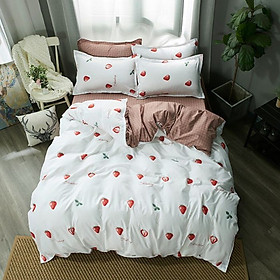 Bộ chăn ga gối Cotton cao cấp 1m6x2m MNT119