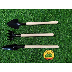 Mua Bộ dụng cụ làm vườn mini 3 món | Phụ kiện chăm sóc xương rồng  sen đá  sen mông