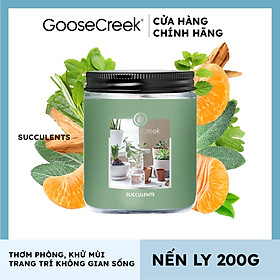 Mua Nến ly Goose Creek (200g) - Succulents