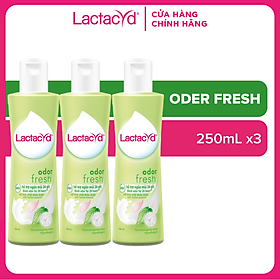 Bộ 3 chai DDVS Lactacyd Odor Fresh NGĂN MÙI 24H 250ml chai