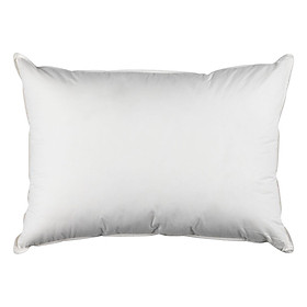 Mua Ruột Gối Polyester Skien Plus
