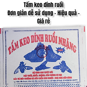 Miếng keo dính ruồi hàng Việt Nam - Dễ sử dung - Hiệu quả cao - An toàn