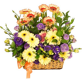 Giỏ hoa tươi - Vũ Điệu Màu Sắc 3996