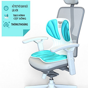 Mua Ghế Chỉnh Tư Thế Ngồi Công Thái Học SEDENTARY HUNCHBACK