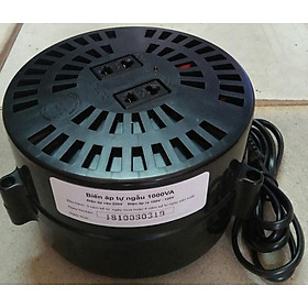 Bộ đổi nguồn 220v sang 100v - 120v lioa 1000va