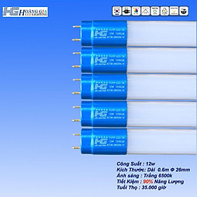 Combo 5 Bóng Đèn Led Tuýp12W 0.6m Thủy Tinh Đầu Nhôm