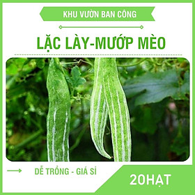 Mua Hạt Giống Qủa Lặc Lày (Mướp Mèo) Sai Trái Trồng Quanh Năm Quy Cách 20-10-1 Hạt - khu Vườn Ban Công